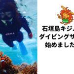 石垣島キジムナーダイビングサークル始めました！！